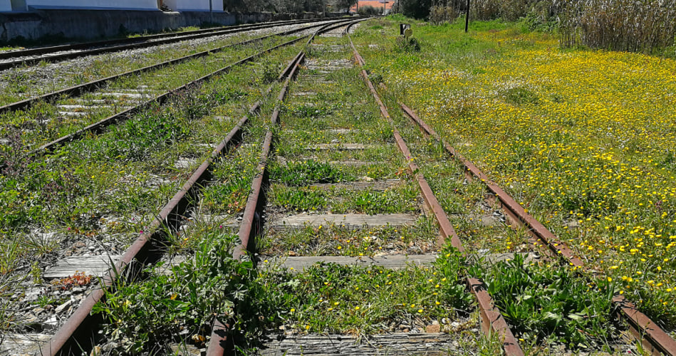 El ascenso de «Chega!» en Portugal y la despoblación rural
