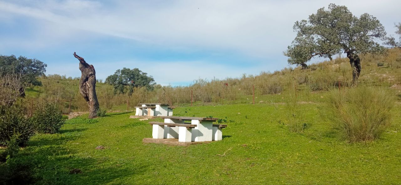 Los nuevos espacios del mundo rural