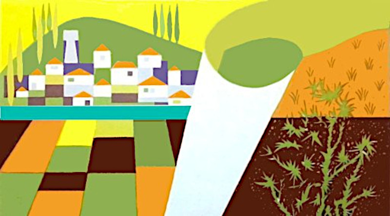 ¿Hay alternativa a la crisis agroganadera?